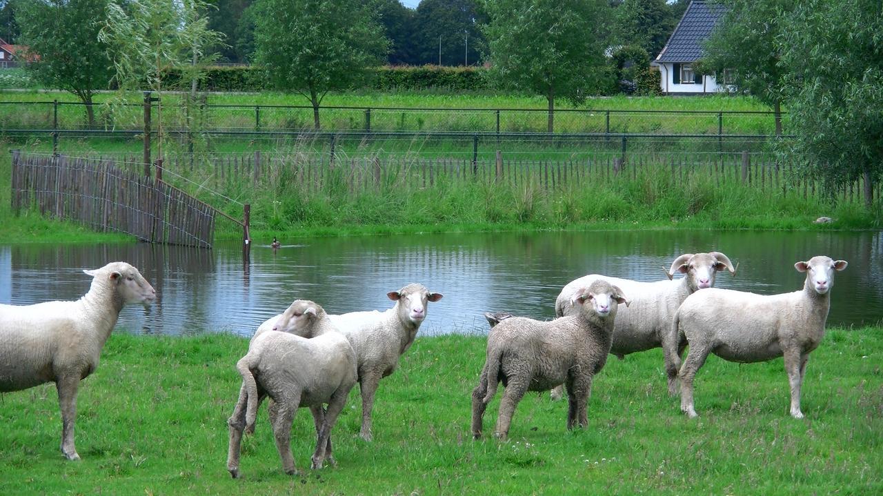 De Turfstaeker Bed & Breakfast Ospel Bagian luar foto